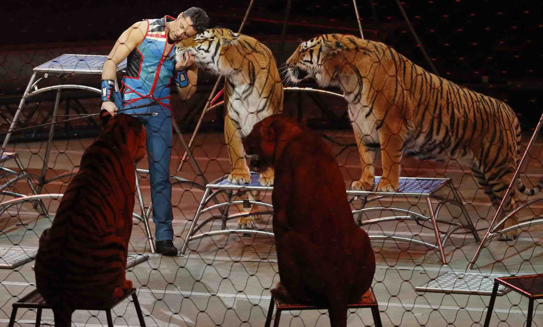 Ringling Bros Finale